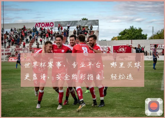 世界杯赛事，专业平台，哪里买球更靠谱，安全购彩指南，轻松选