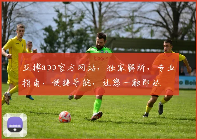 亚搏app官方网站，独家解析，专业指南，便捷导航，让您一触即达
